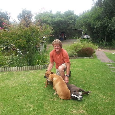 Piesang Valley Lodge Plettenberg Bay Ngoại thất bức ảnh