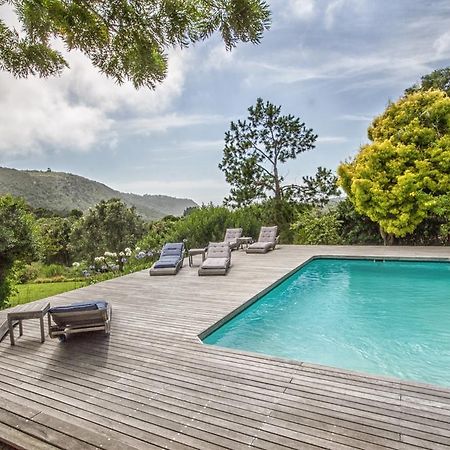 Piesang Valley Lodge Plettenberg Bay Ngoại thất bức ảnh