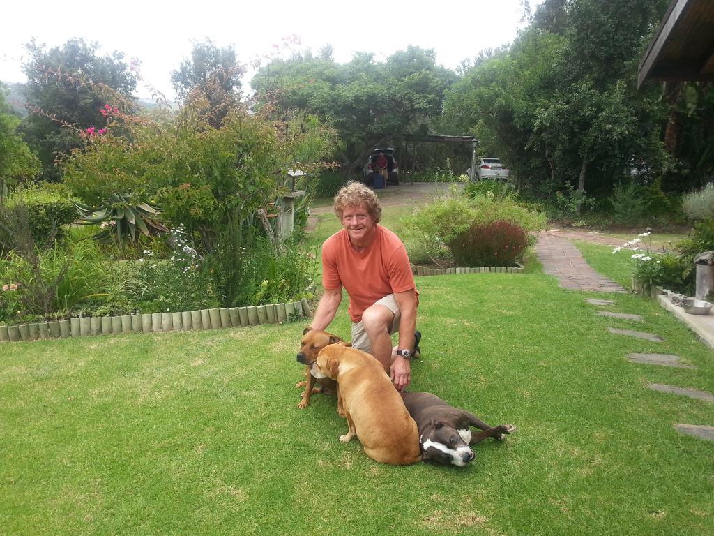 Piesang Valley Lodge Plettenberg Bay Ngoại thất bức ảnh