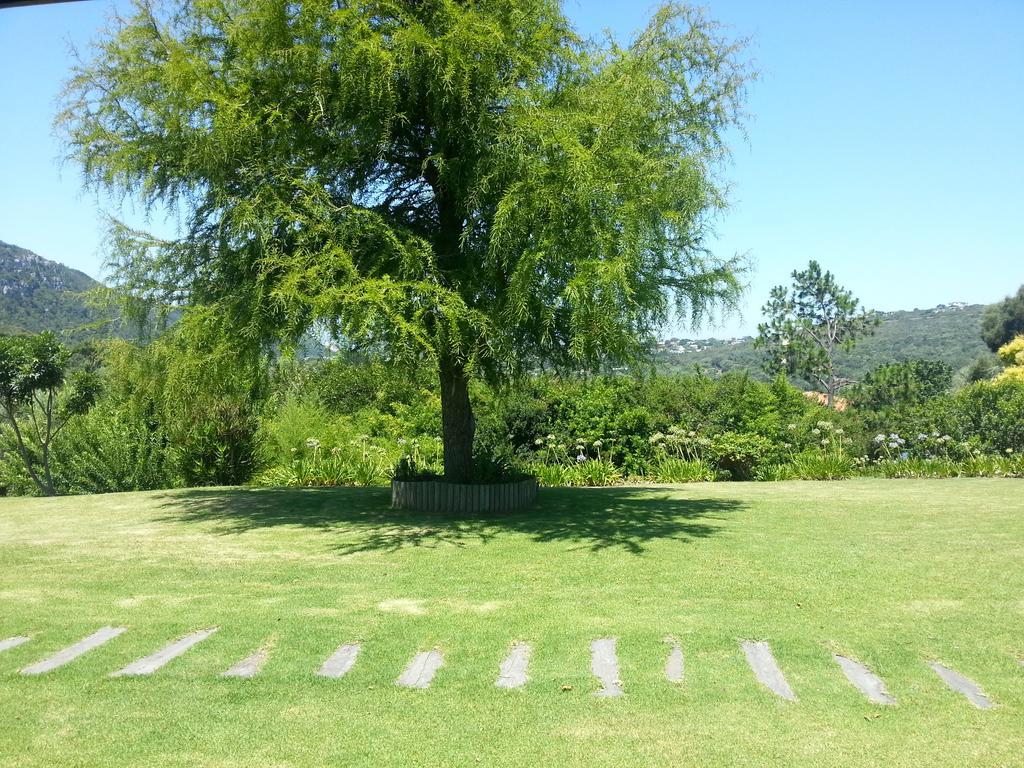 Piesang Valley Lodge Plettenberg Bay Phòng bức ảnh