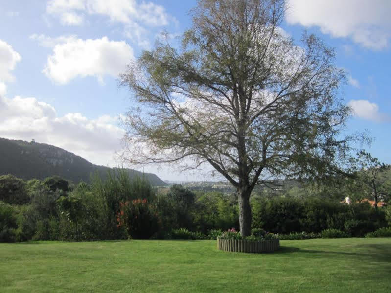 Piesang Valley Lodge Plettenberg Bay Ngoại thất bức ảnh